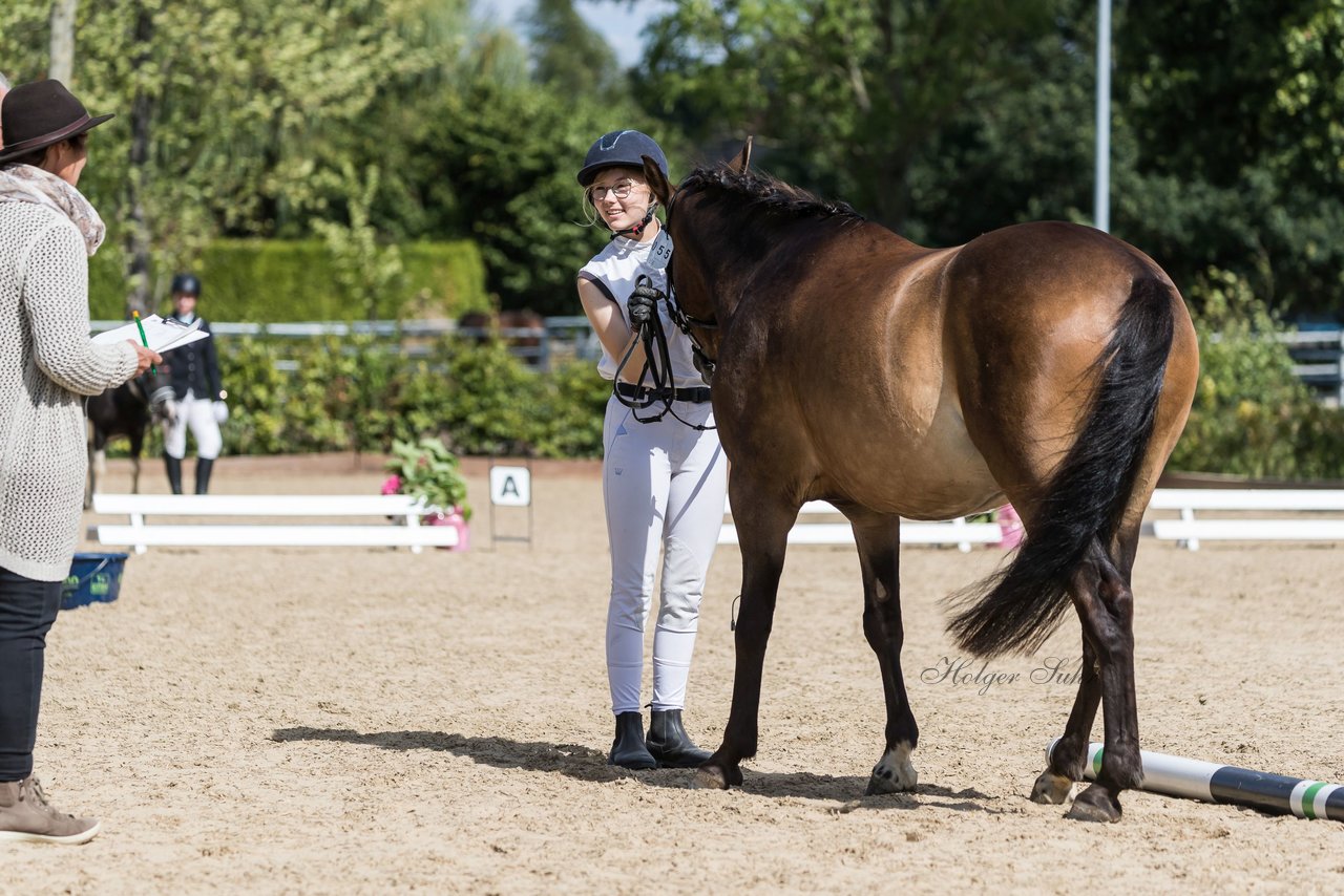 Bild 83 - Pony Akademie Turnier